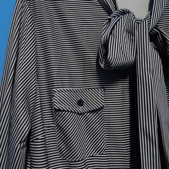 Pin Stiped Maxi Dress size 2X front pockets, stretches - Picture 5 of 10